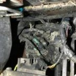 resizedimage219153-2016-08-22-17.20.50 resizedimage219153-2016-08-22-17.20.50